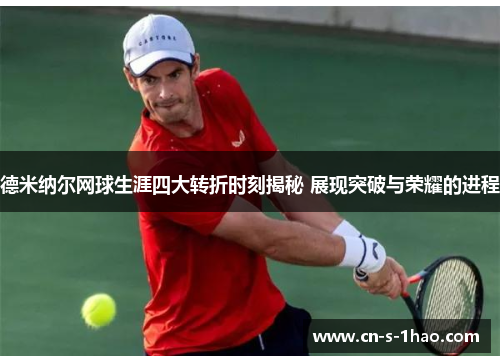 德米纳尔网球生涯四大转折时刻揭秘 展现突破与荣耀的进程