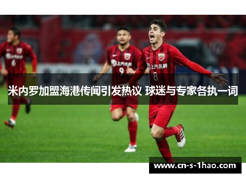 米内罗加盟海港传闻引发热议 球迷与专家各执一词 米内罗加盟海港传闻引发热议 球迷与专家各执一词