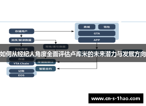 如何从经纪人角度全面评估卢库米的未来潜力与发展方向